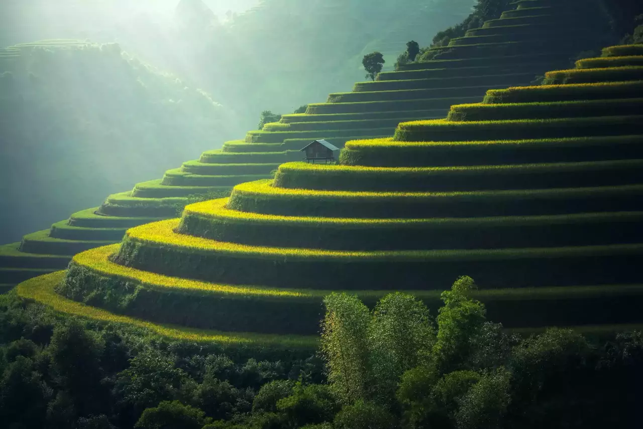 escaliers naturels
