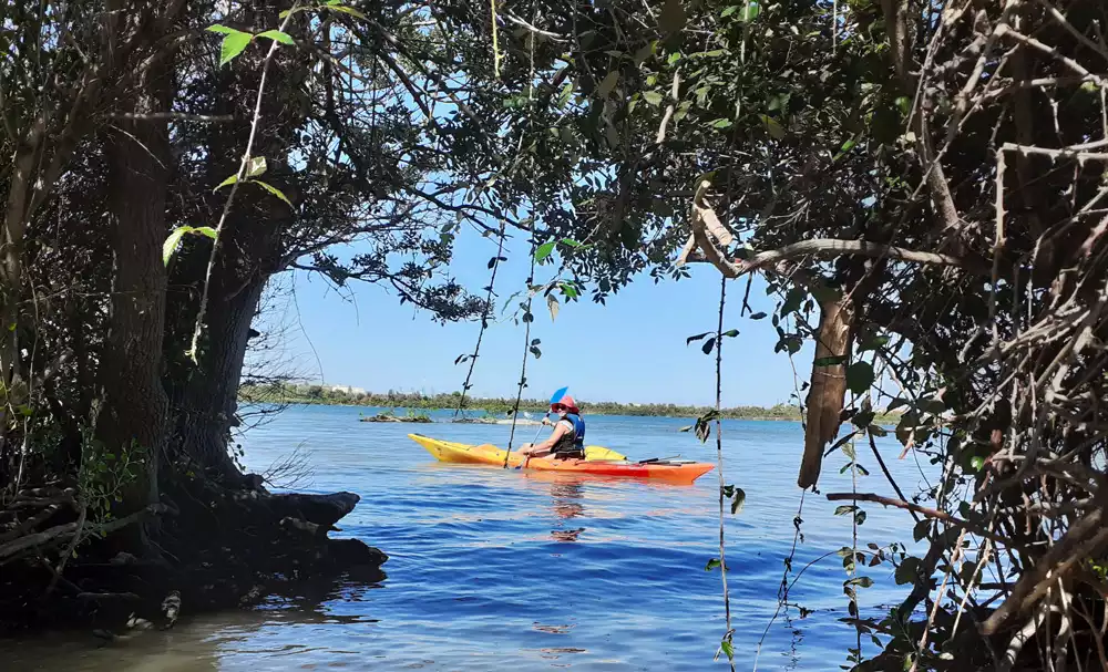 kayak camargue