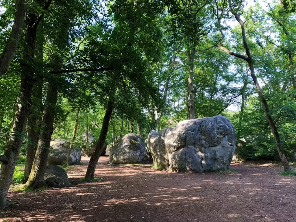 foret de fontainebleau
